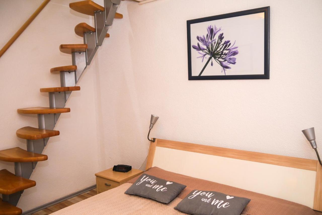 Ferienwohnung Am Elberadweg دريسدن المظهر الخارجي الصورة