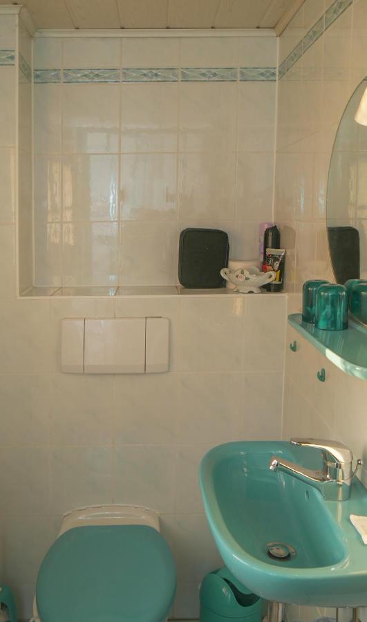 Ferienwohnung Am Elberadweg دريسدن المظهر الخارجي الصورة
