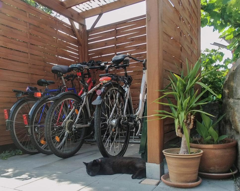 Ferienwohnung Am Elberadweg دريسدن المظهر الخارجي الصورة